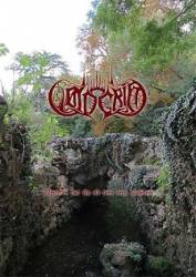 Voin Grim : Mysteries That Thy Old Trees Keep.. Timeless